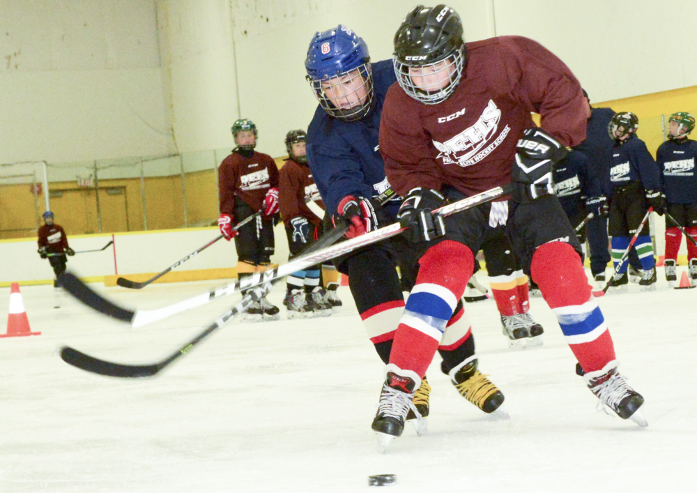 PEHS SPRING BREAK ADVANCED HOCKEY SCHOOL<br />(2014-16) (2012-13) (2009-11)