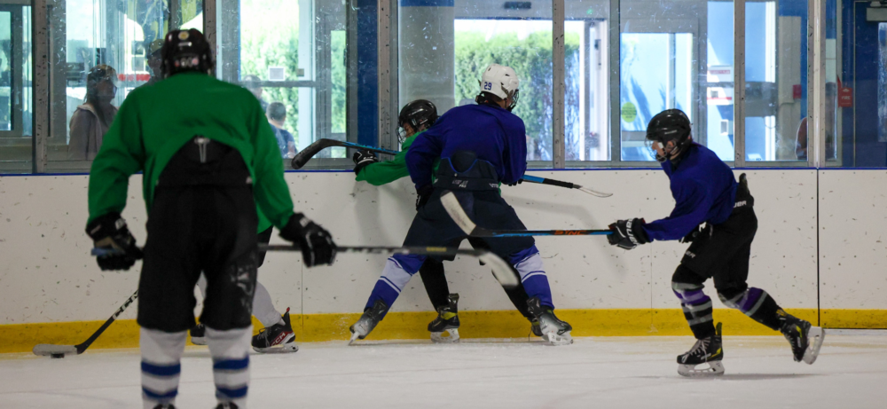 PEHS SPRING BREAK ADVANCED HOCKEY SCHOOL