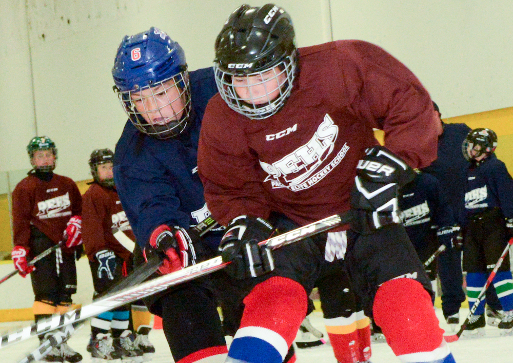 PEHS OPTIMUM TRAINING HOCKEY PROGRAM