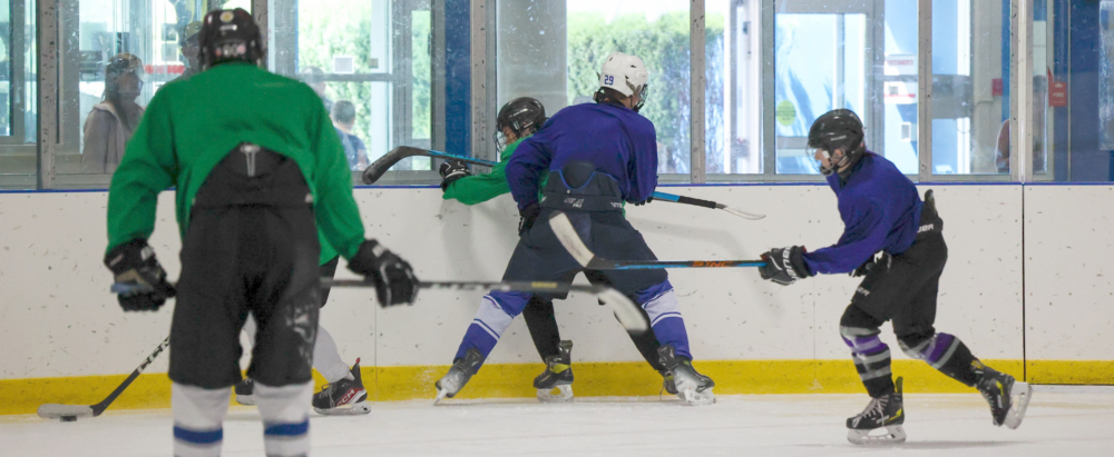 HITTING, SKATING, SCORING, GAME PLAY COMBO